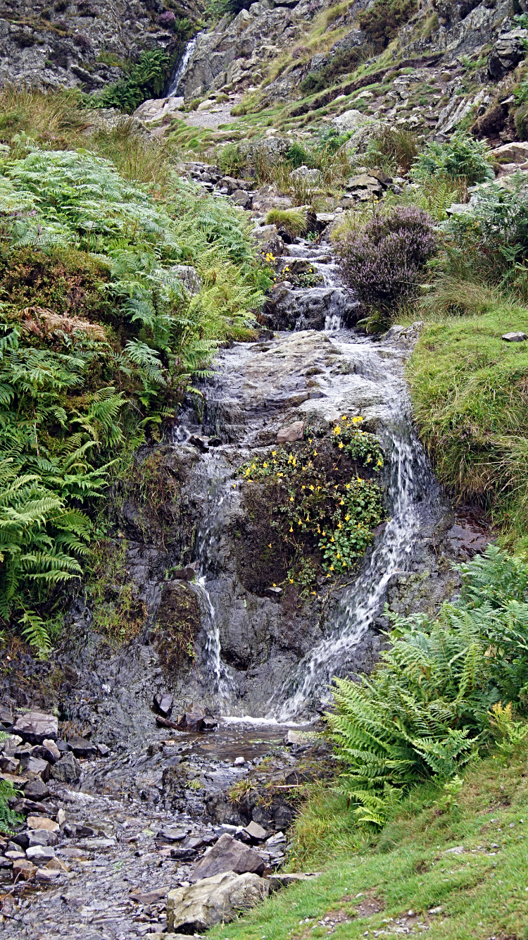 Following the beck upstream