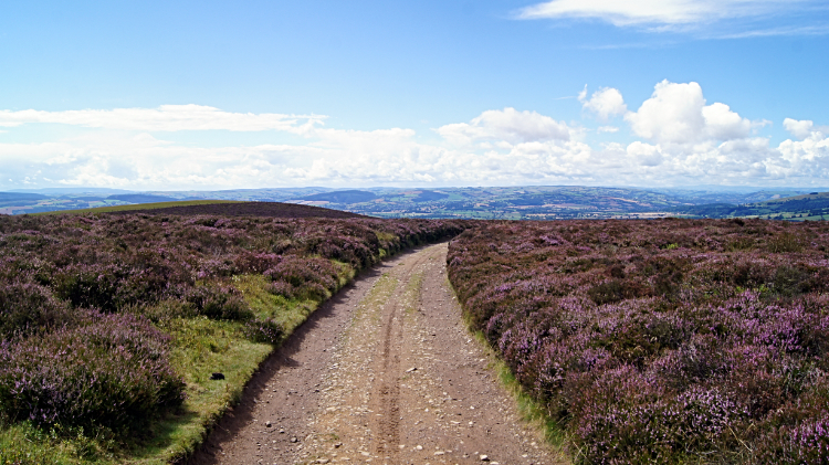 Descending to Stanbatch