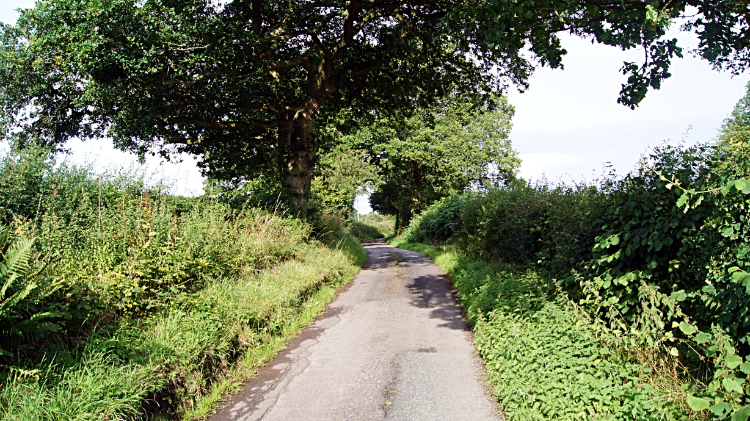 The road to Norbury