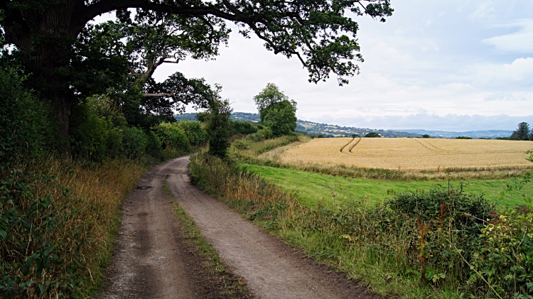 Bridleway leading to Bishop's Castle