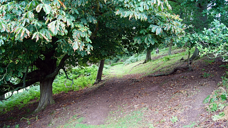 Climbing Hopesay Hill