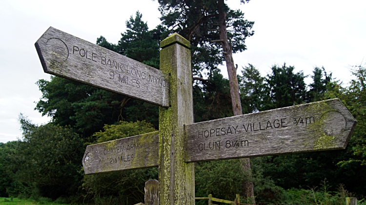 Waypost east of Hopesay Hill