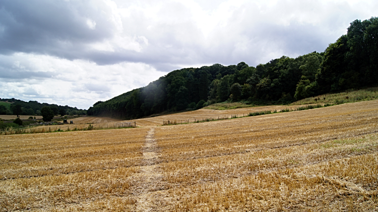 Heading from Stokesay Castle to Stoke Wood