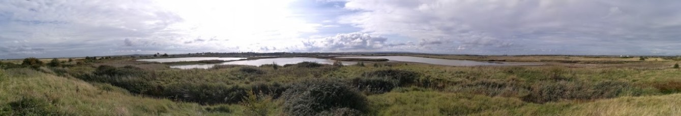 Cliffe Pools