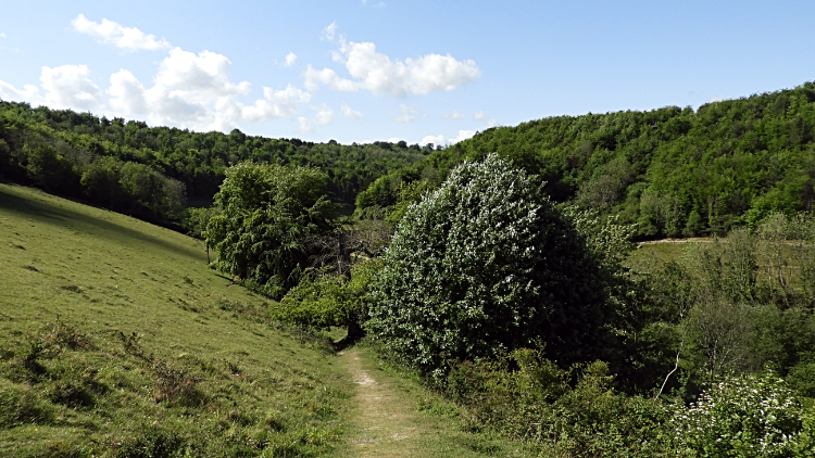 Monarch's Way, leading from Arundel Park