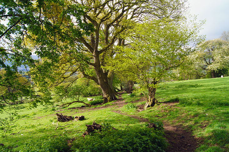 The countryside near Llangenny is beautiful