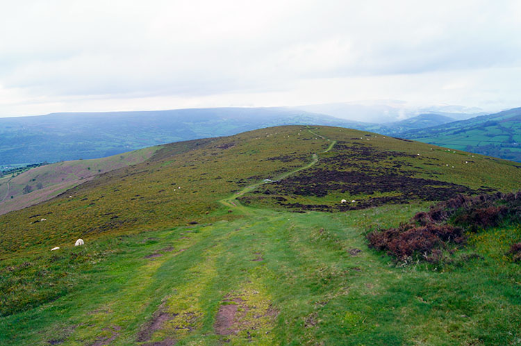 Looking back to the excellent track up Sugar Loaf