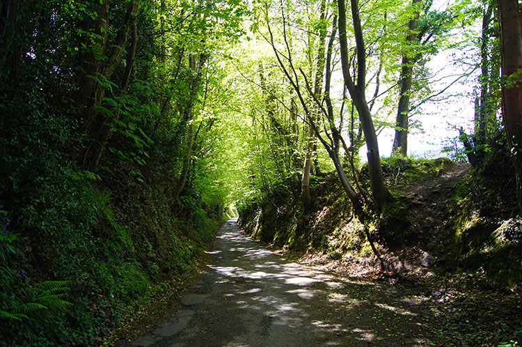 A Holloway road leading down into Abergavenny