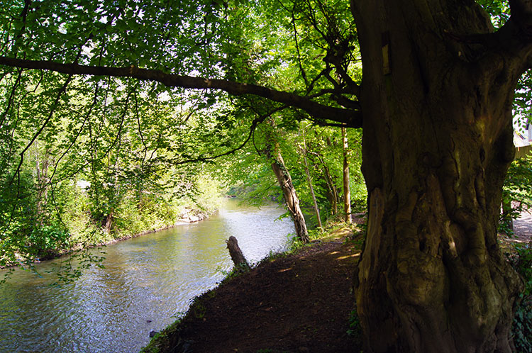 Following Afon Rhymney back to Machen