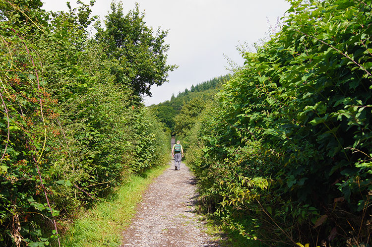 Following the access track to Ysgyryd Fawr