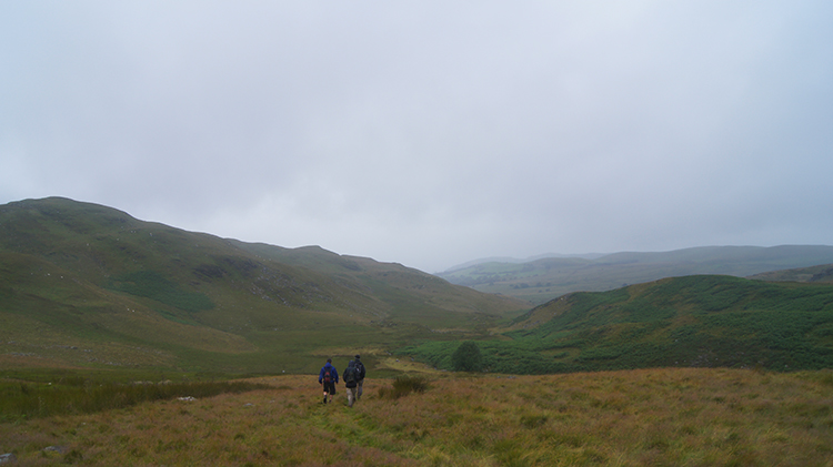 Cwm Teifi