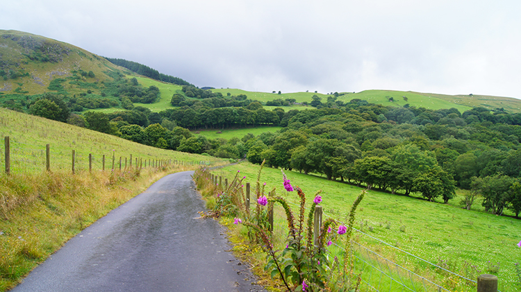 Following the lane from Troed-y-rhiw