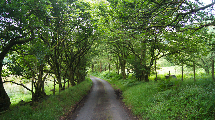 The lane back to Tyncwm