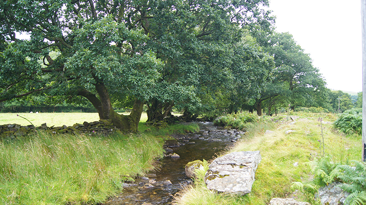 Afon Mwyro