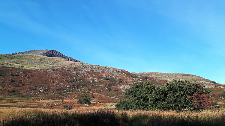 Moel Hebog