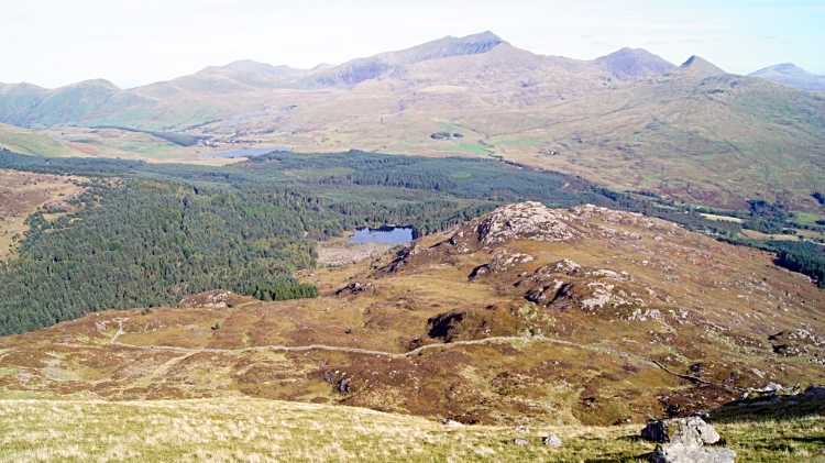 Beddgelert Forest