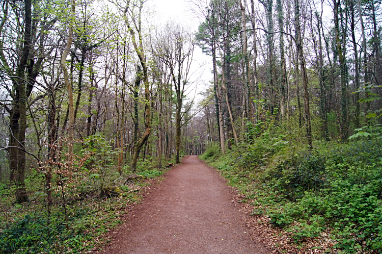 On the Taff Trail leading to Taff's Well