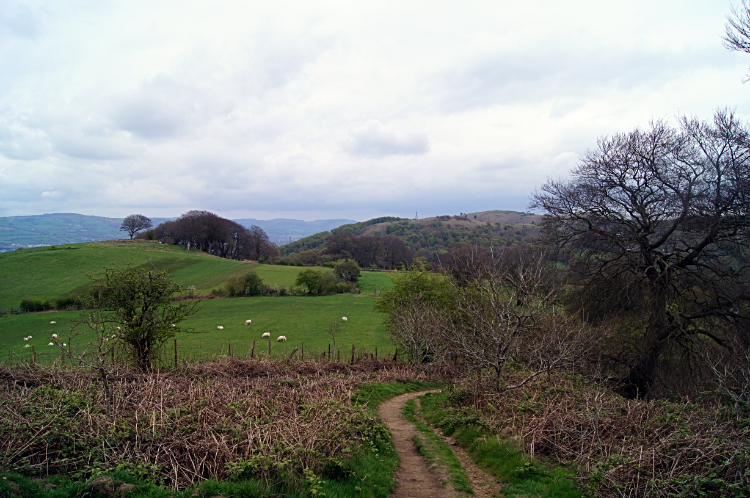 Descending to Waun-waelod