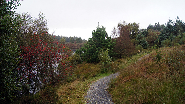 Following the path beside Llyn Elsi