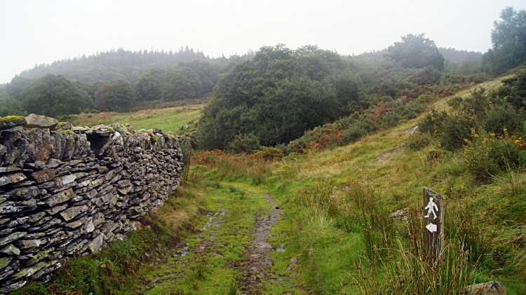 Following the path to Rhiwddolion