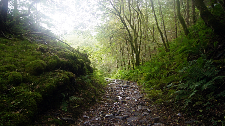 On a stretch of Sarn Helen Roman Road