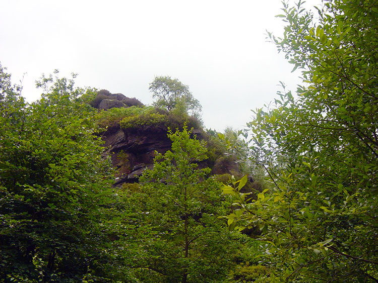 Hardcastle Crags are deeply shrouded by vegetation