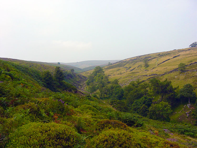 Haworth Moor