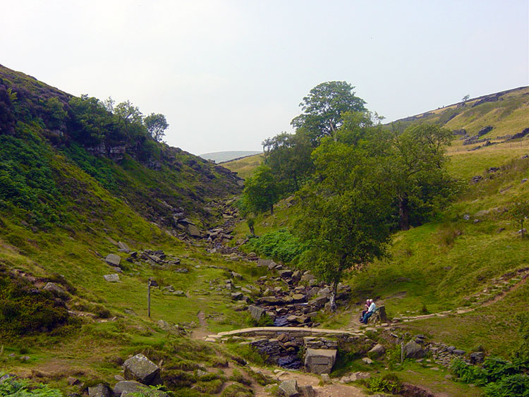 Bronte Waterfalls