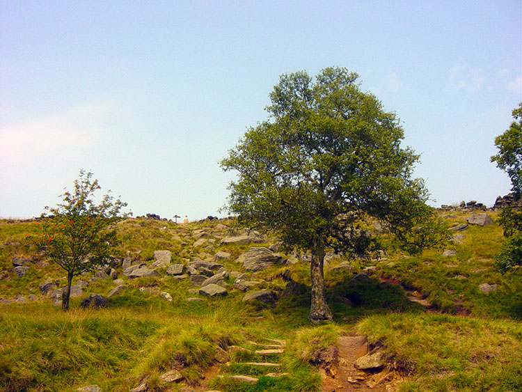 Climbing from Bronte Waterfalls towards Top Withins