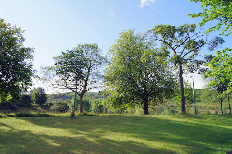 Lovely parkland on Wells Road, Ilkley