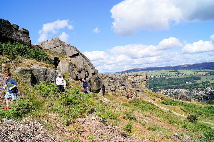 Nearing the Cow and Calf