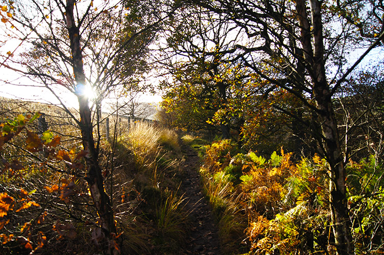 Lovely woodland path near Ramsden Reservoir