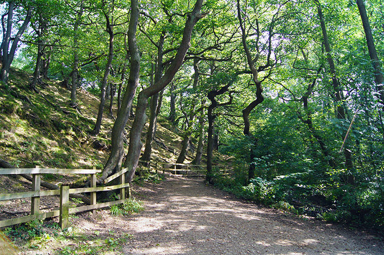 The lane to Scarcroft