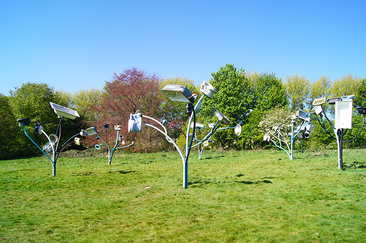 Trees by Dennis Oppenheim