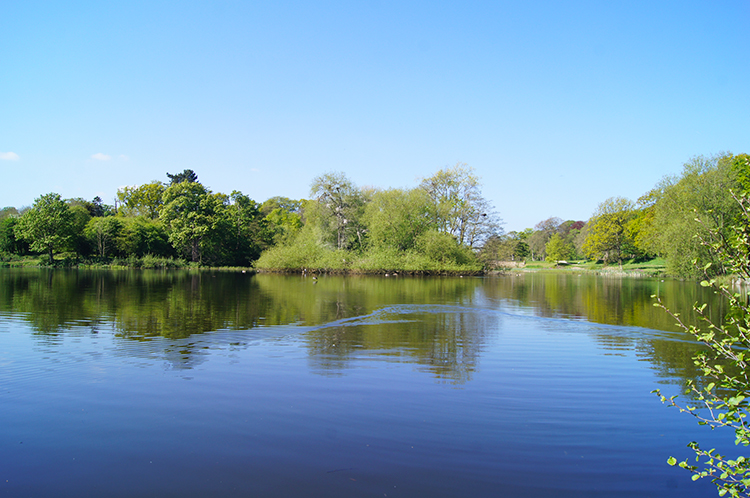 Lower Lake