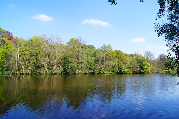 Upper Lake