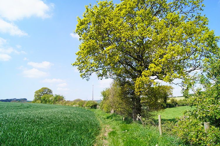 Climbing towards Emley