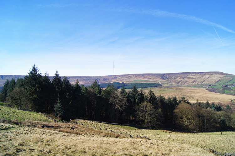 View to Holme Moss
