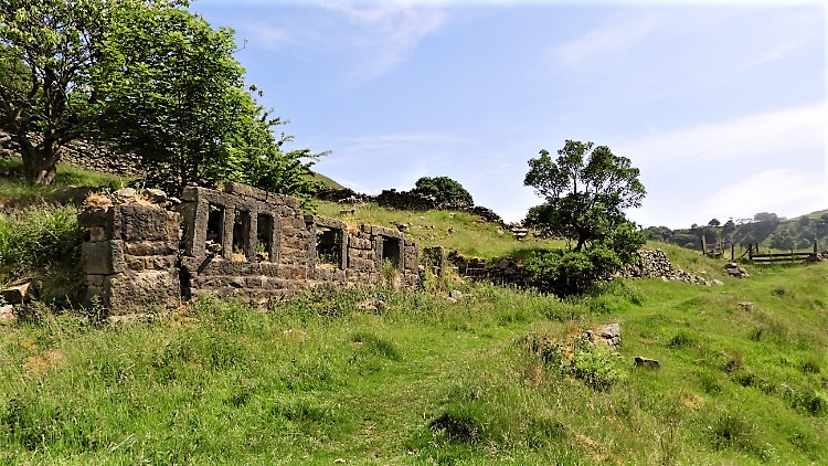 Abandoned farmstead near Wittonstall Clough