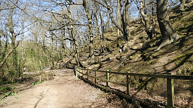 Path beside Hetchell Woods