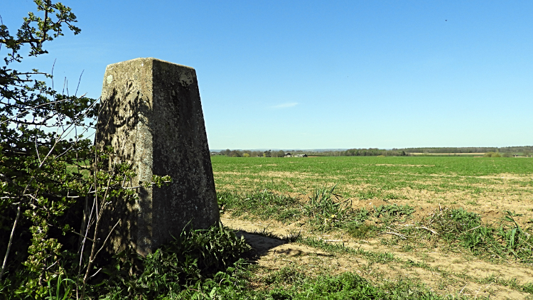 Trig point on Thorner Moor