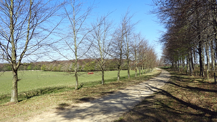 Path leading from the park to Bramham