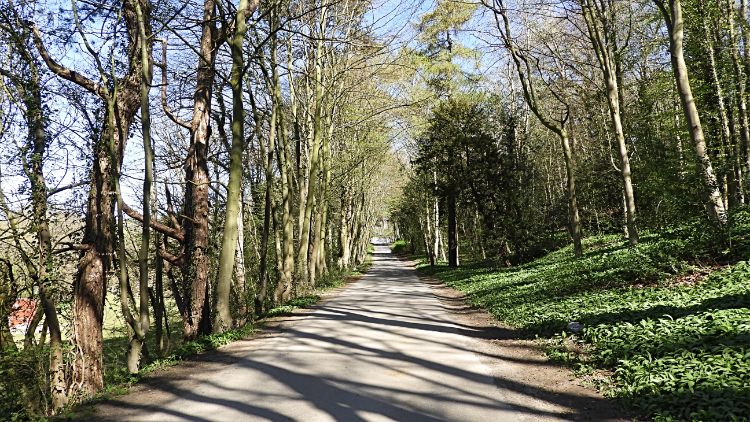 Lane leading to Bowcliffe Hall