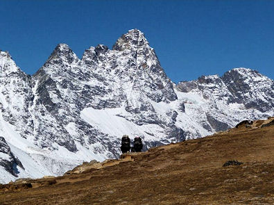 Heavily laden Sherpa's