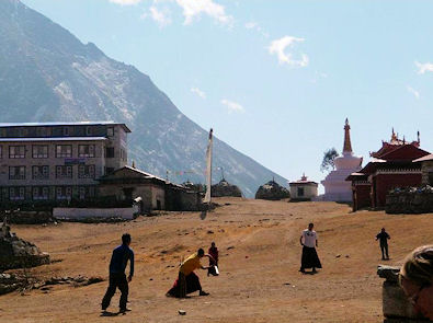 Cricket at Tengboche