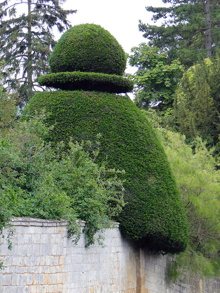 Well manicured hedge in Broadway