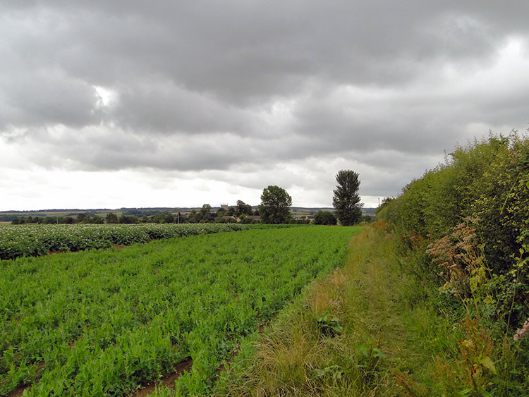 Countryside outside Chipping Campden