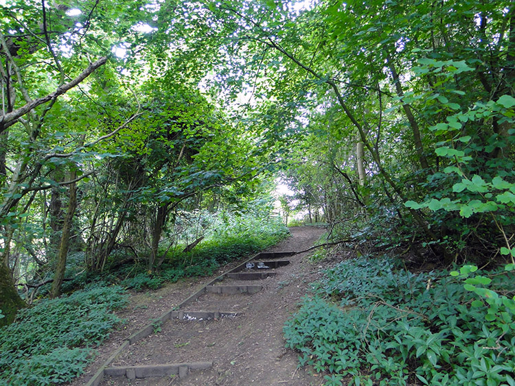 Beginning the climb to Lineover Wood