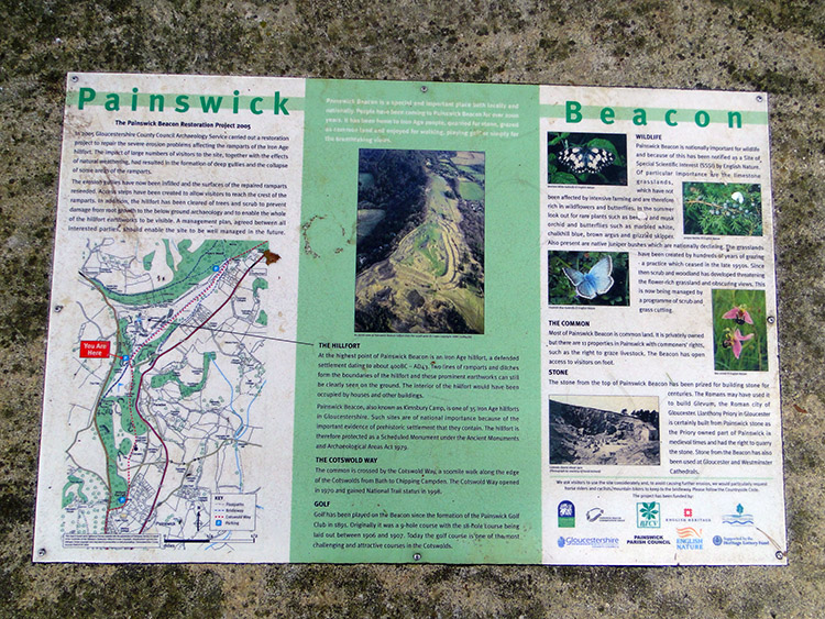 Information board at Painswick Beacon