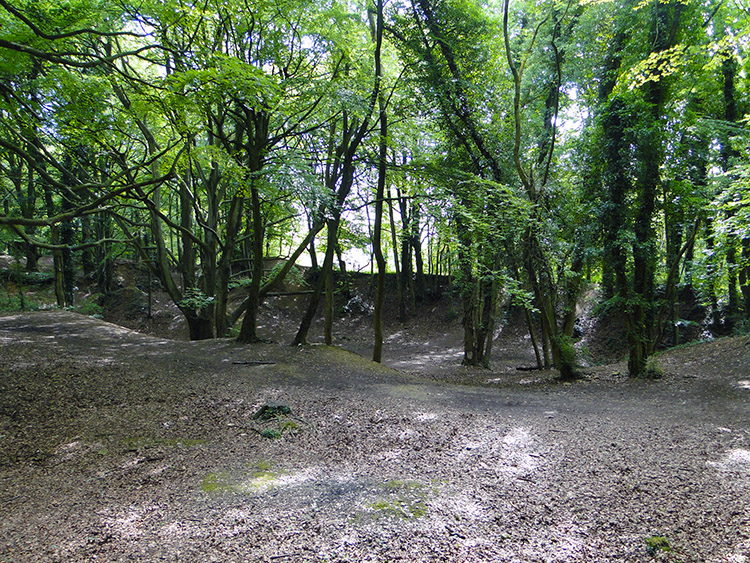 Toward the end of Cliff Wood near Ringhill Farm